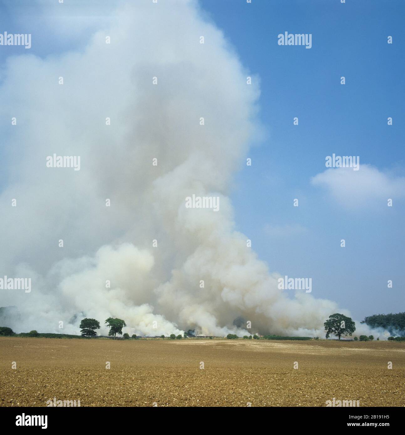 Blick auf Rauch, der an einem schönen Sommertag über einem brennenden Stoppelfeld aufragt, Berkshire, August, Stockfoto