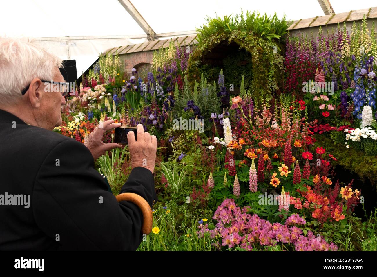Älterer Herr, der auf einer Blumenschau in england, Deutschland, ein Foto einer Gartenausstellung im Cottage machte. Stockfoto