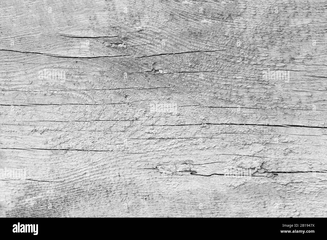 Alter weißer, grauer Holzhintergrund über dem Nahaufnahmen. Stockfoto