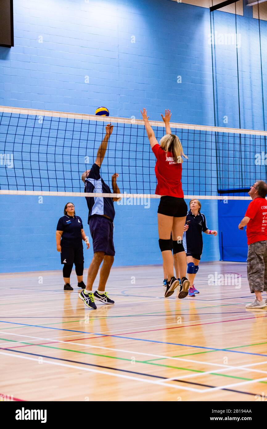 Volley-Ball Stockfoto