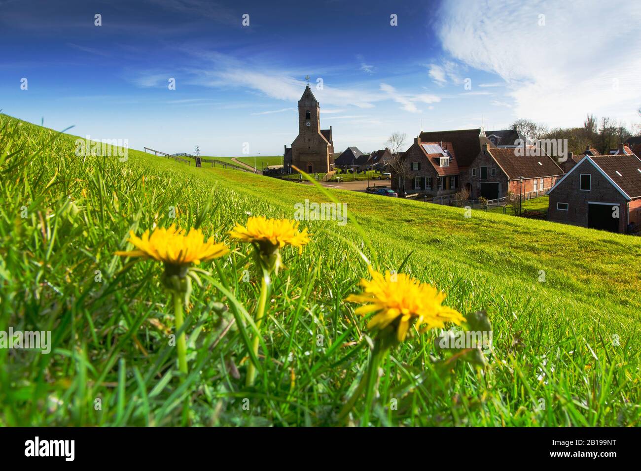 Marienkirche am Deich, Niederlande, Frisia, Wierum Stockfoto