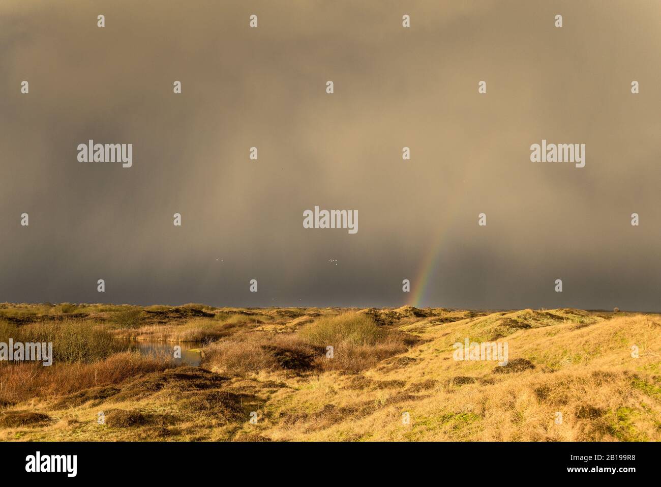 Hageldusche mit Regenbogen, Niederlande, Texel, den Hoorn Stockfoto