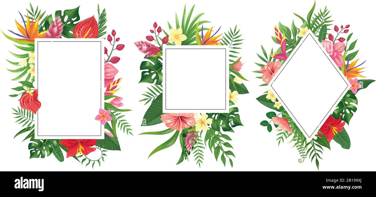 Tropische Blumenrahmen. Botanische Tropen Grenzen, tropische Blumen Einladungsrahmen und Sommerpflanzen grüne Blätter Vektor-Hintergrund Stock Vektor
