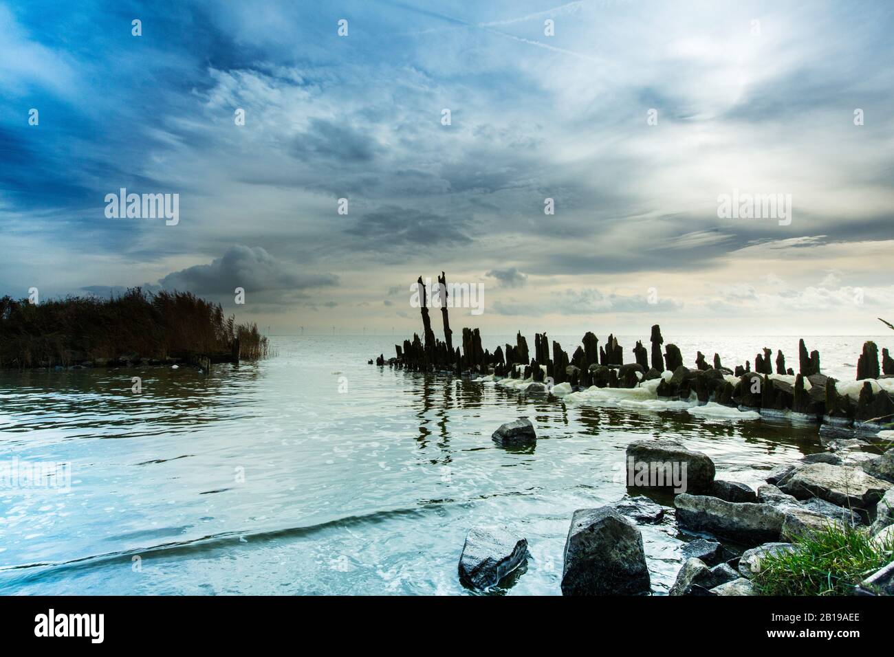 Alte Pole in Marderhoek, IJsselmeer, Niederlande, Frisia, Nationaal Landschap Zuidwest Fry, Gaasterland Stockfoto