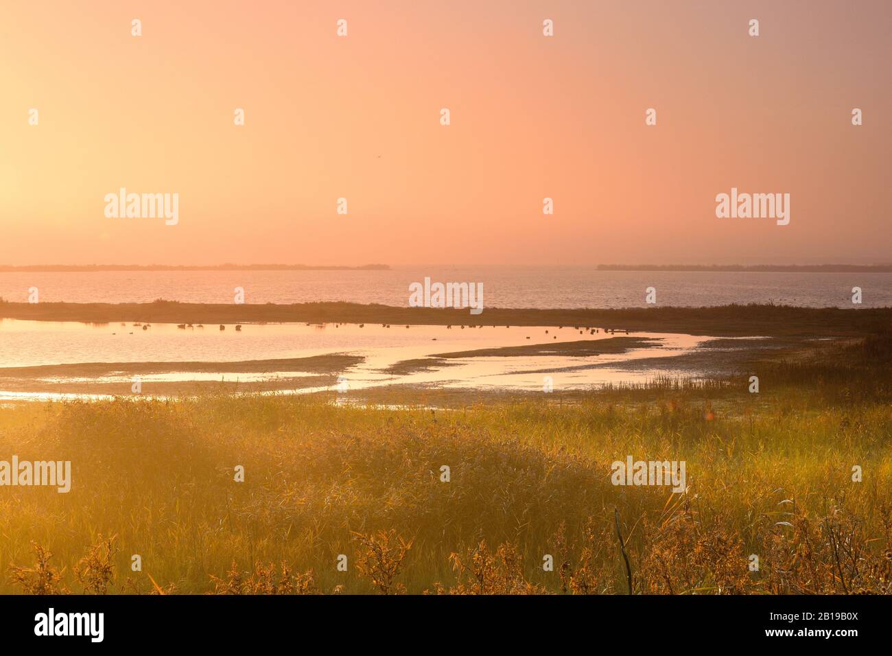 Sonnenaufgang in Nordholland, Niederlande, Nordholland, Westerland Stockfoto