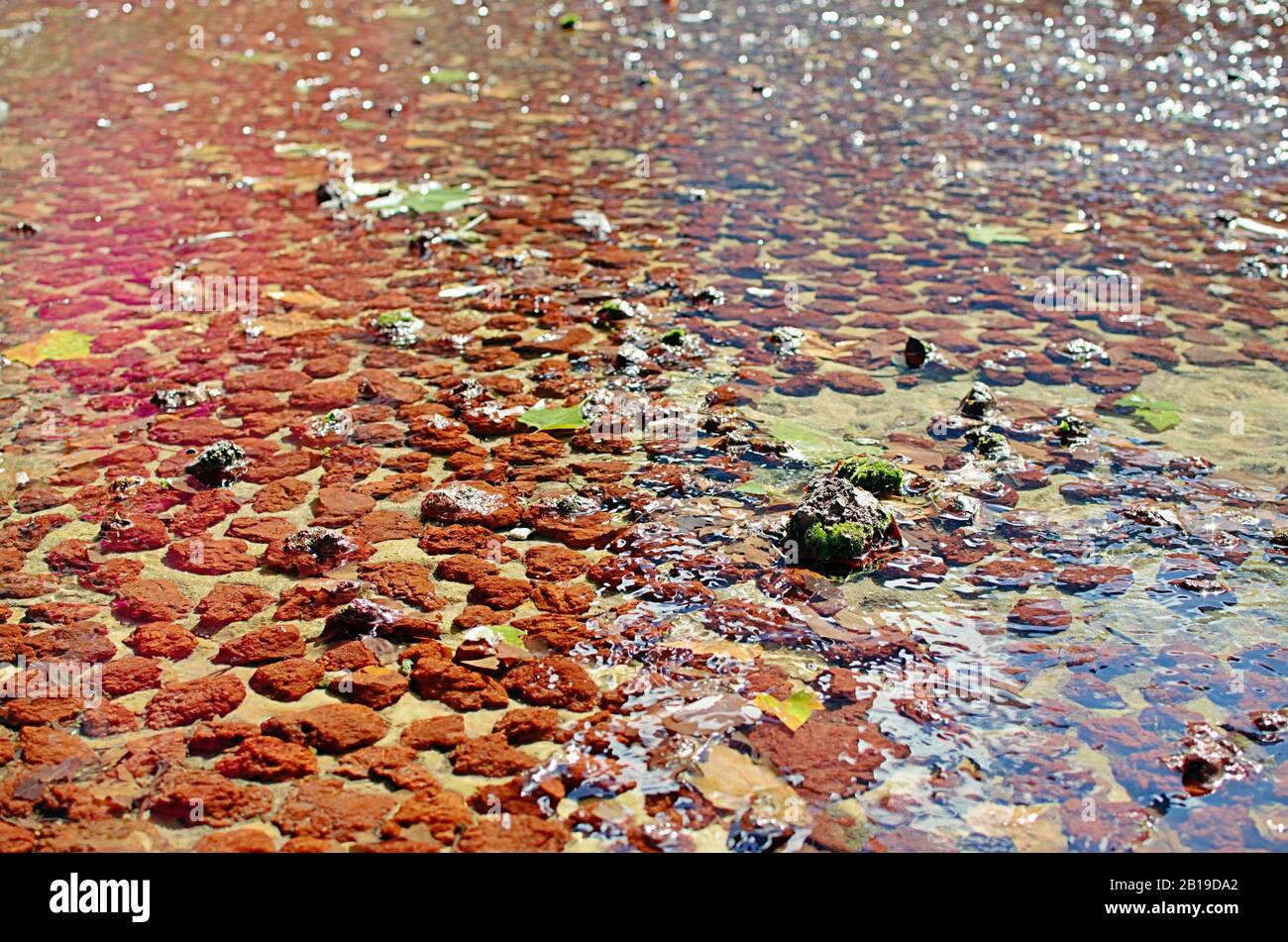 Bunte Steine in fließendem klarem Wasser mit leichten Flares Stockfoto