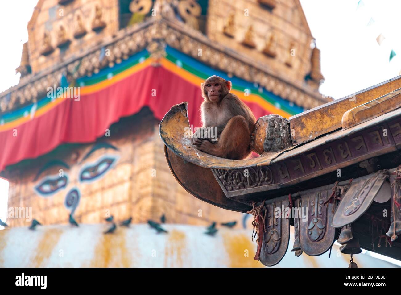 Swayambhunath Stupa, auch bekannt Als Monkey Temple, während des Sonnenaufgangs in Kathmandu, Nepal. Zum UNESCO-Weltkulturerbe. Alte Ruinen und Steintempel. Stockfoto