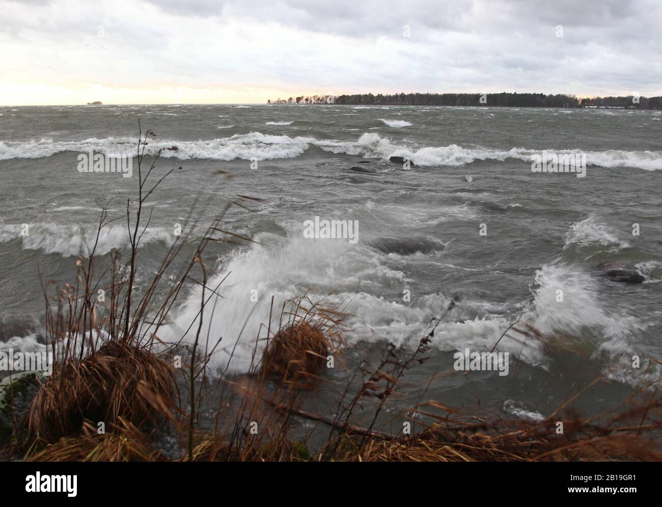 Sturm Helga zog am Freitag in voller Kraft. Foto Jeppe Gustafsson Stockfoto