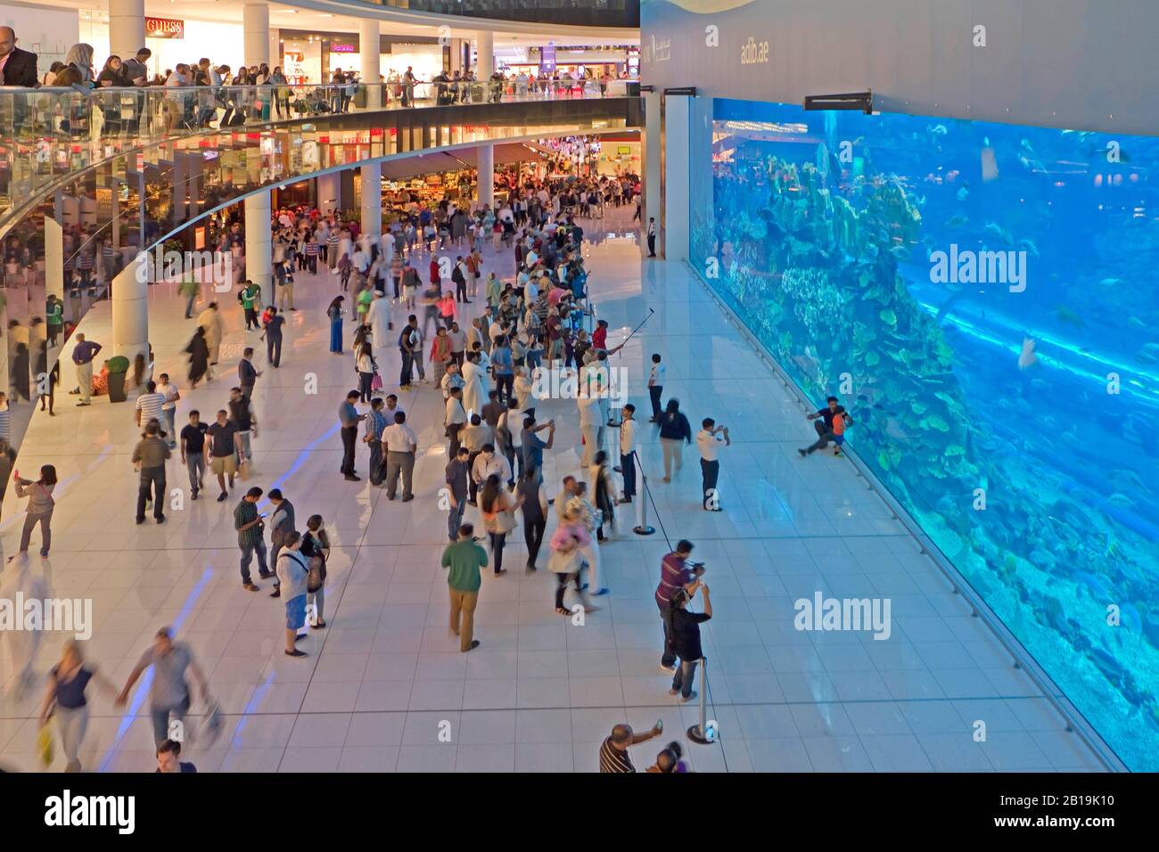 Dubai Mall Aquarium und Unterwasser-Zoo, Dubai, Vereinigte Arabische Emirate, Naher Osten, Asien Foto © Fabio Mazzarella/Sintesi/Alamy Stock Foto Stockfoto