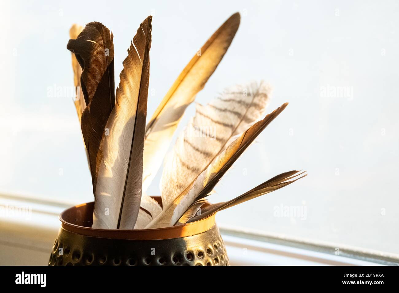 Sammlung von Vogelfedern. Federn sind ein Symbol des Dankes und der Wertschätzung und wurden mit den Göttern und Göttinnen der Heave in Verbindung gebracht Stockfoto