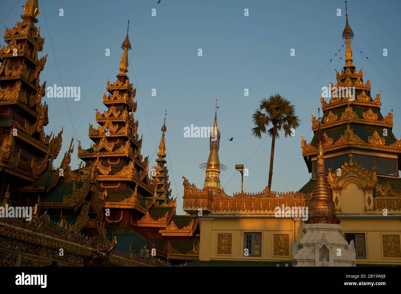 Shwedagon Pagode, Yangon, Myanmar Stockfoto