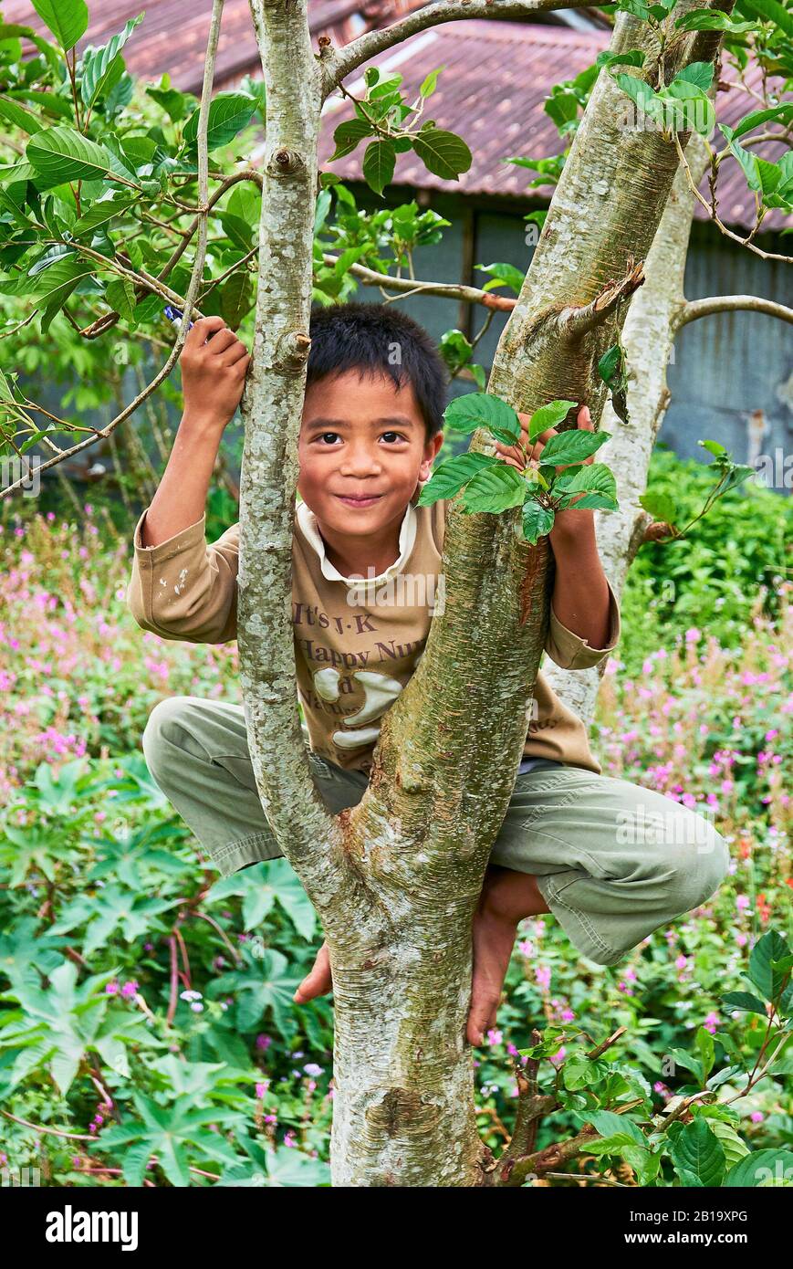 Sagada, Bergprovinz, Philippinen: Kleiner Junge klettert auf einen Baum, lächelt und blickt auf die Kamera, viele Blumen dahinter Stockfoto