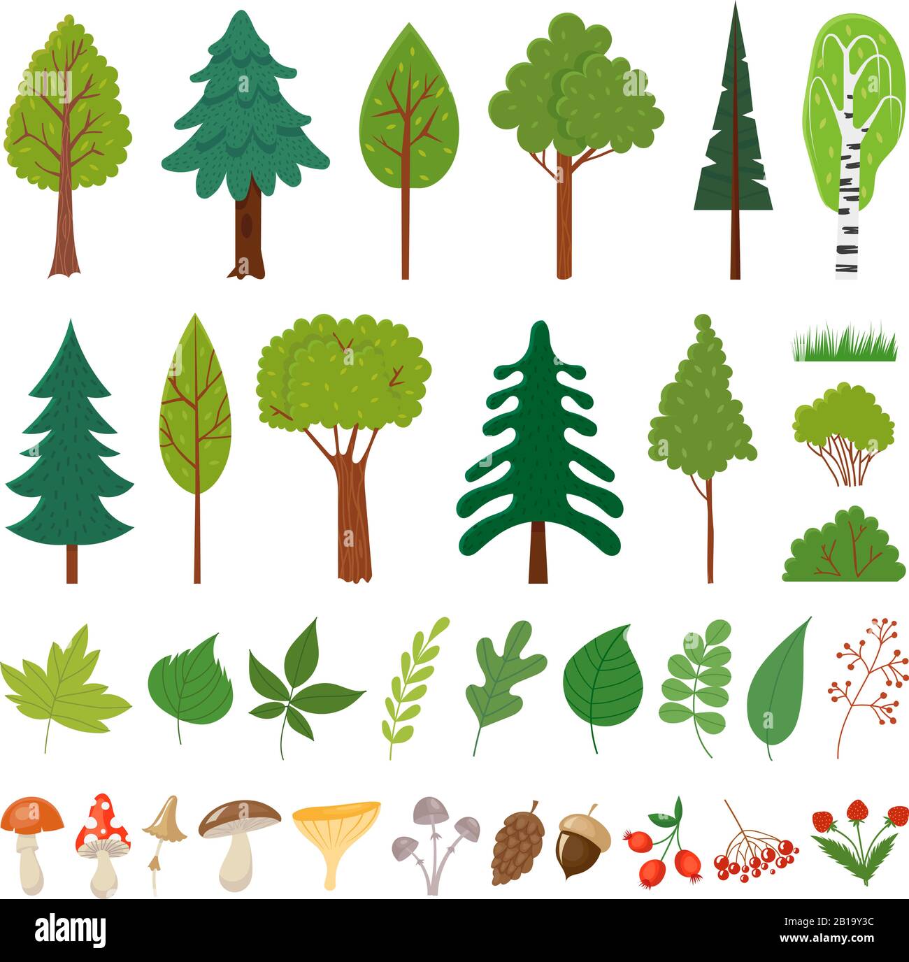 Waldbäume. Waldbaum, Wildbeeren Pflanzen und Pilz. Wald Blumenelemente Vektor-Set Stock Vektor