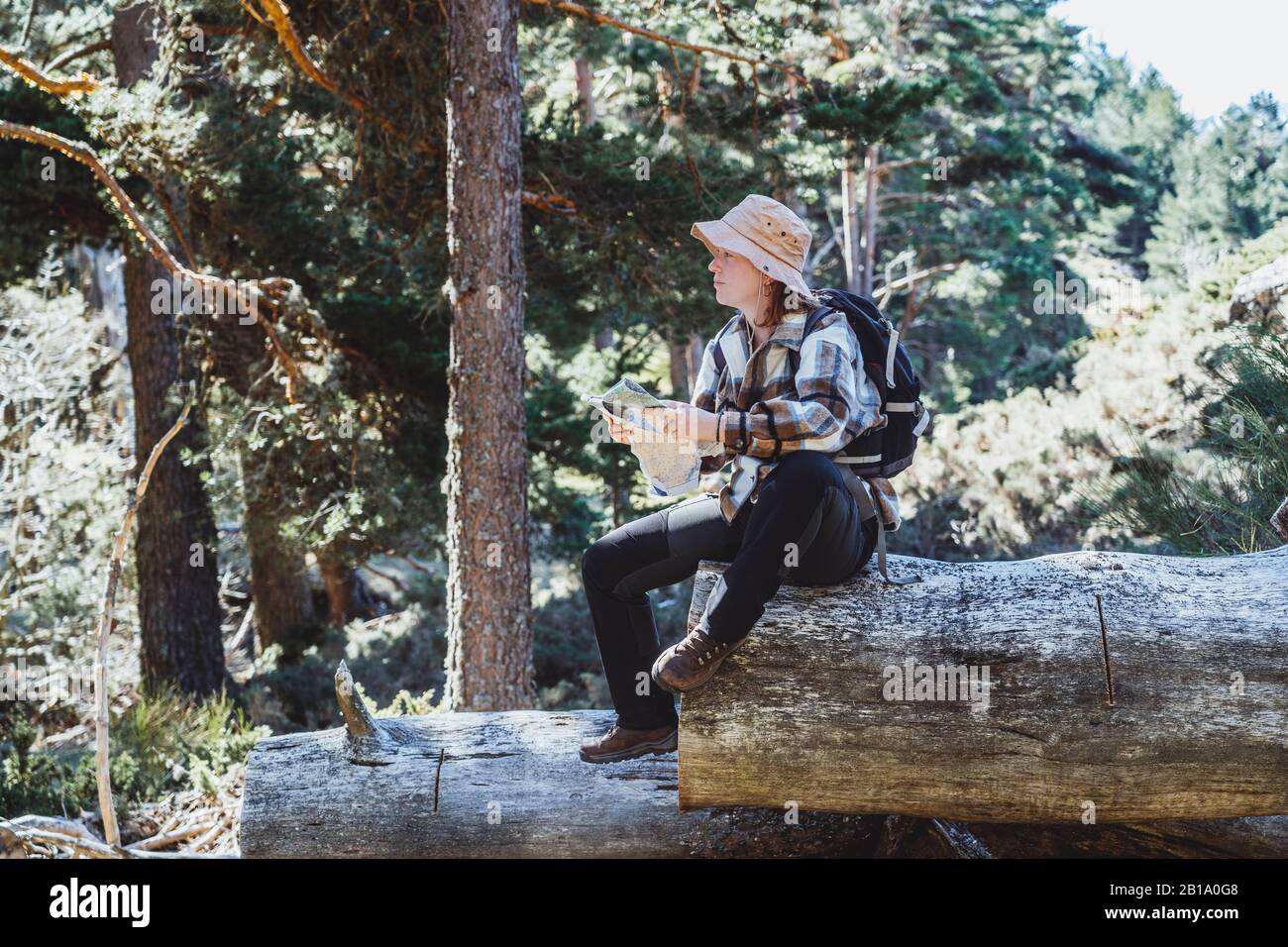 Eine rothaarige Frau mit Hut und Rucksack, die durch einen Wald blickt und auf eine Karte blickt, die auf einem Baumstamm sitzt Stockfoto