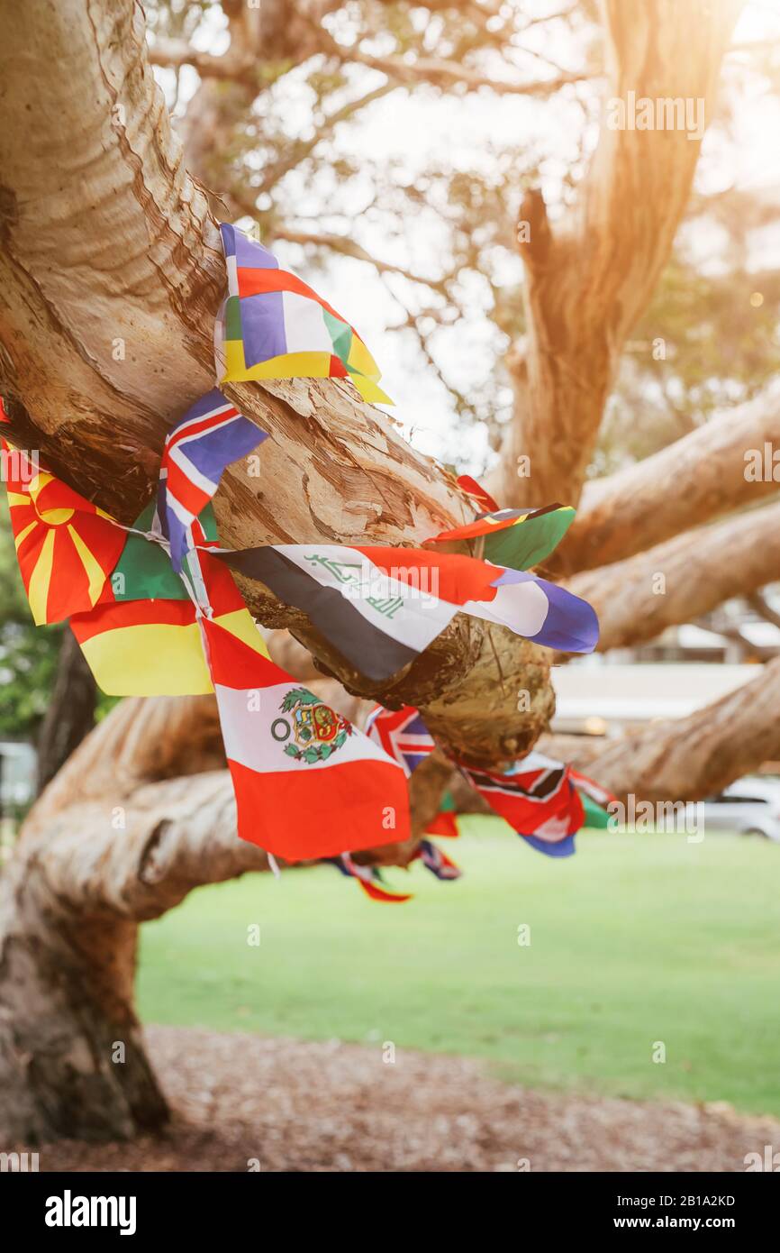 Flaggen verschiedener Länder im Baum. Multikulturelles Netzwerk, Konzept der Integration. Stockfoto