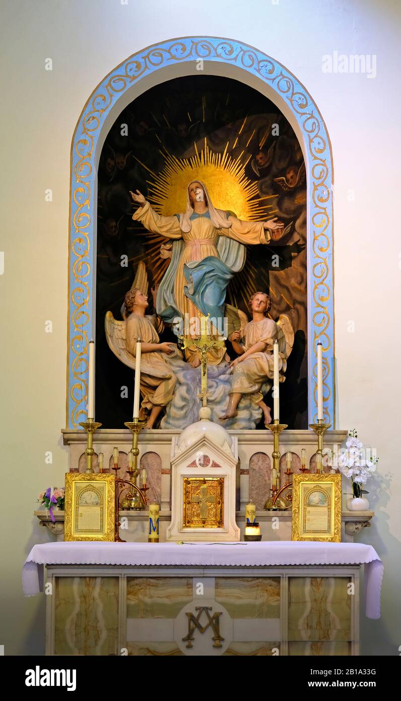 Der Marien-Altaraufsatz in Der Cardinal Newman University Church Dublin Stockfoto
