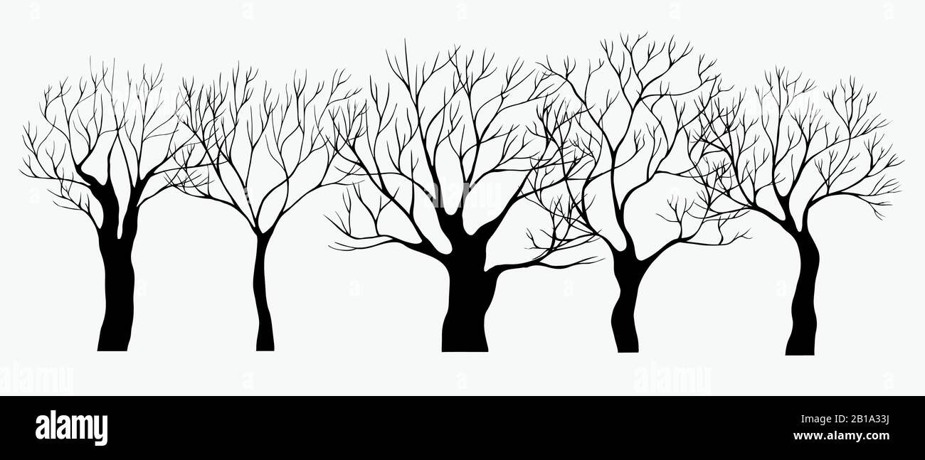 Schwarze, handgezeichnete Silhouettenbäume. Satz Vektorgrafiken. Alter dunkelschwarzer und weißer Garten Stock Vektor