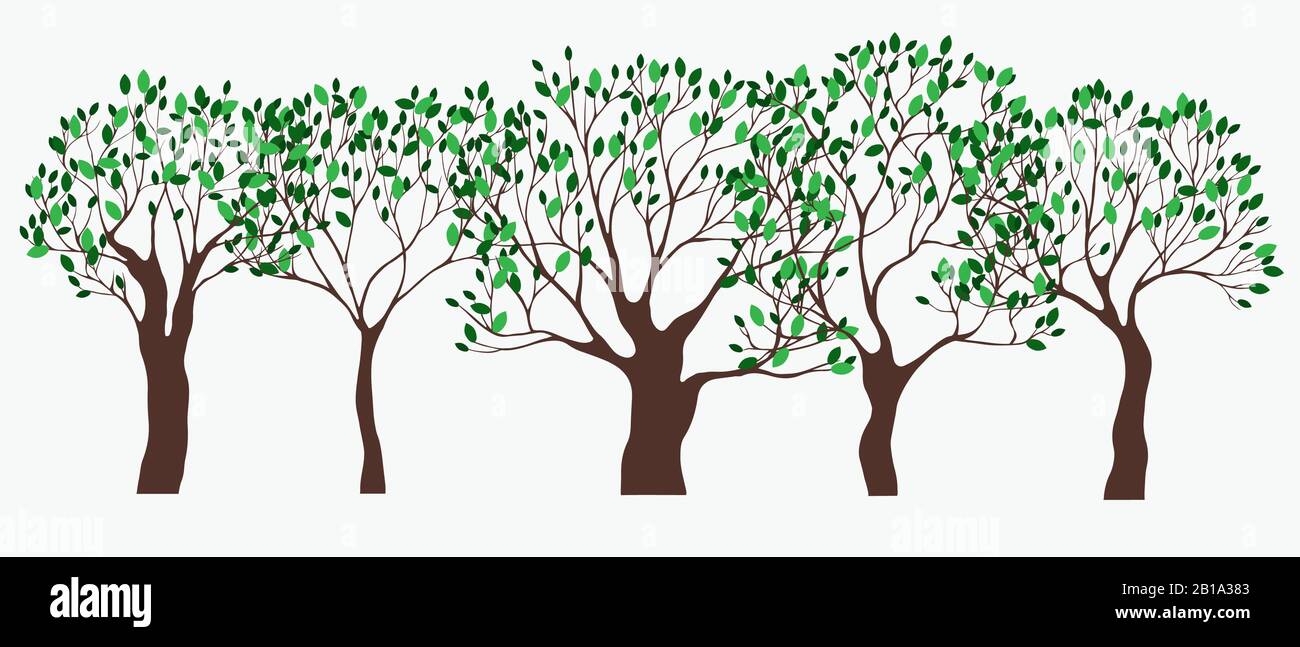 Satz grüner Federbäume. Handgezeichnete Vektorgrafiken. Grüne Blätter an braunem Baum Stock Vektor