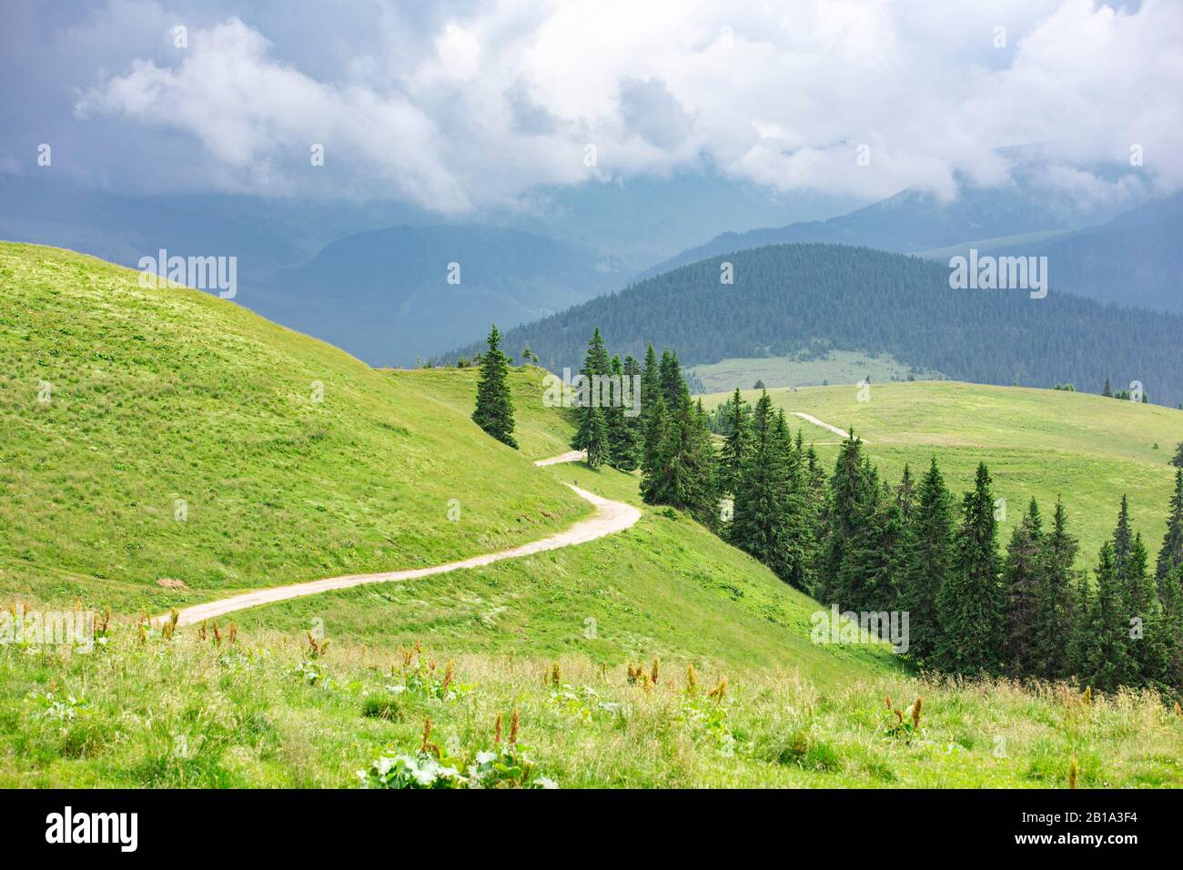 Grüne Hügel des Nationalparks Rodna, wilde rumänische Berge, Trekkkingstraßen. Rumänien. Stockfoto