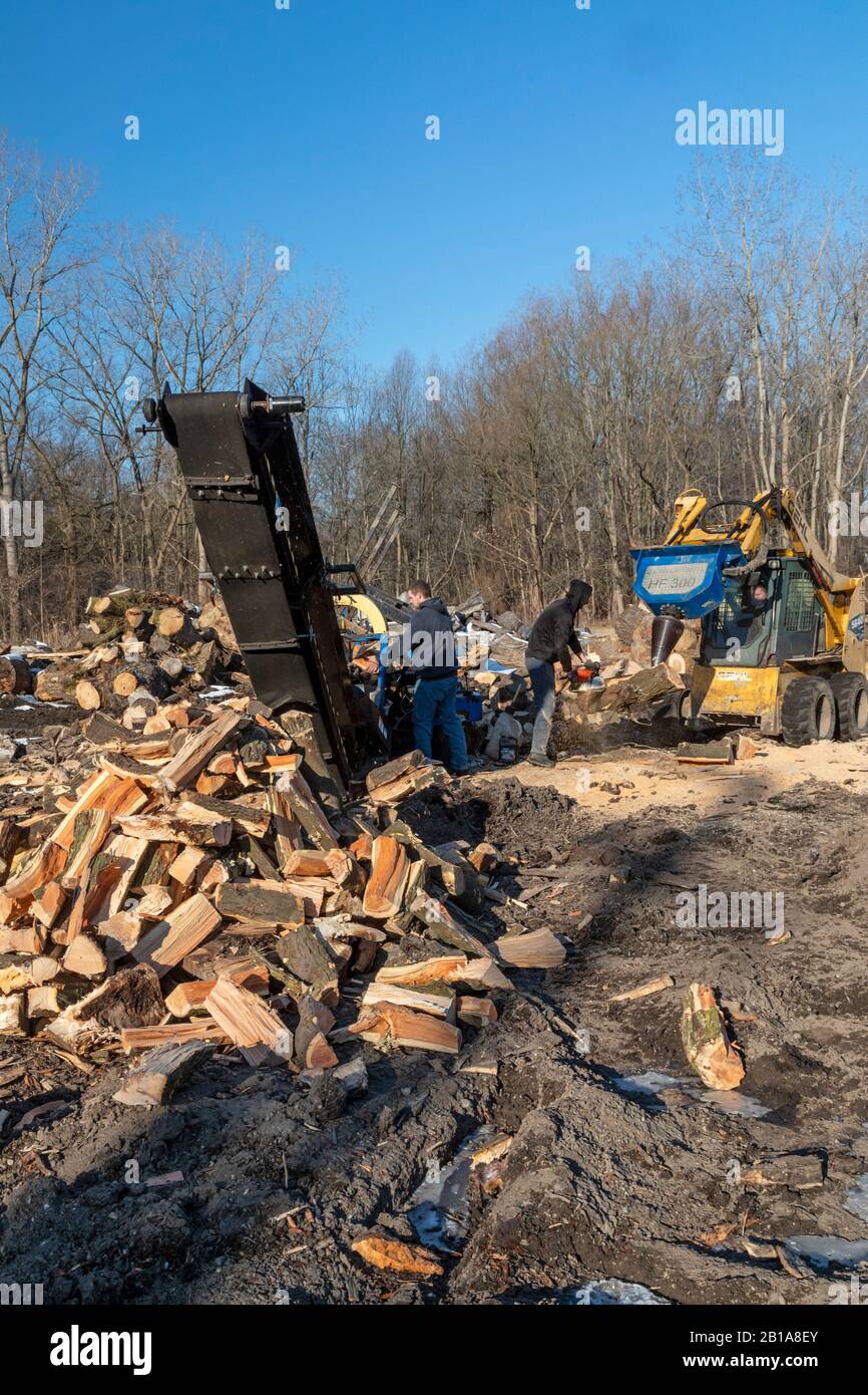 Memphis, Michigan - Arbeiter für die fortschrittliche Brennholzverarbeitung haben Holzstämme für Brennholz aufgeschnitten, die viele in diesem ländlichen Gebiet zum Heizen ihrer Häuser verwenden. Stockfoto