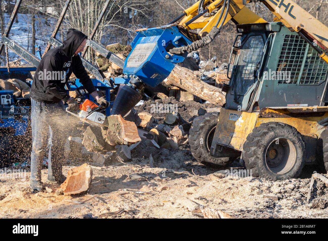 Memphis, Michigan - Arbeiter für die fortschrittliche Brennholzverarbeitung haben Holzstämme für Brennholz aufgeschnitten, die viele in diesem ländlichen Gebiet zum Heizen ihrer Häuser verwenden. Stockfoto