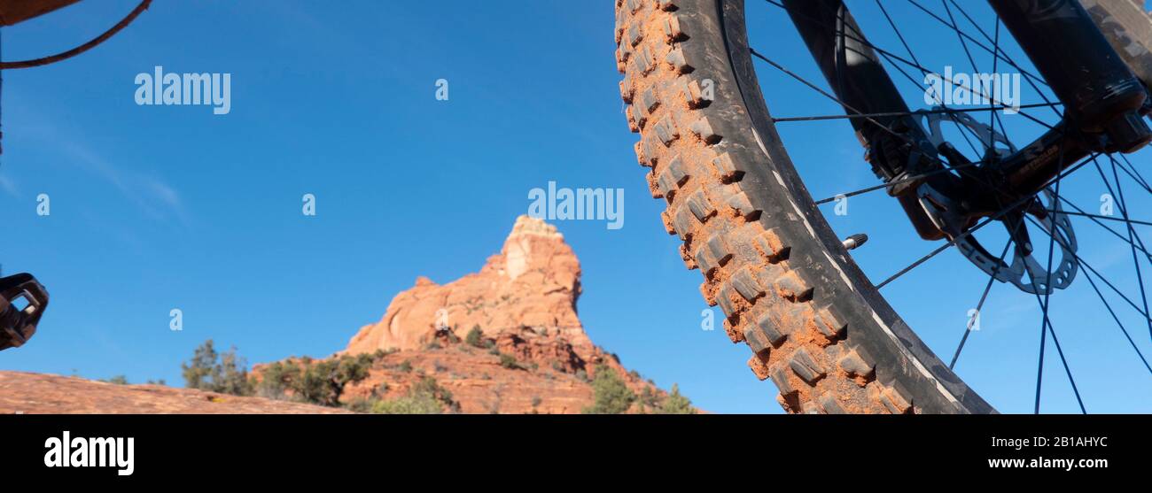 Schlammiger Mountainbike-Reifen Stockfoto