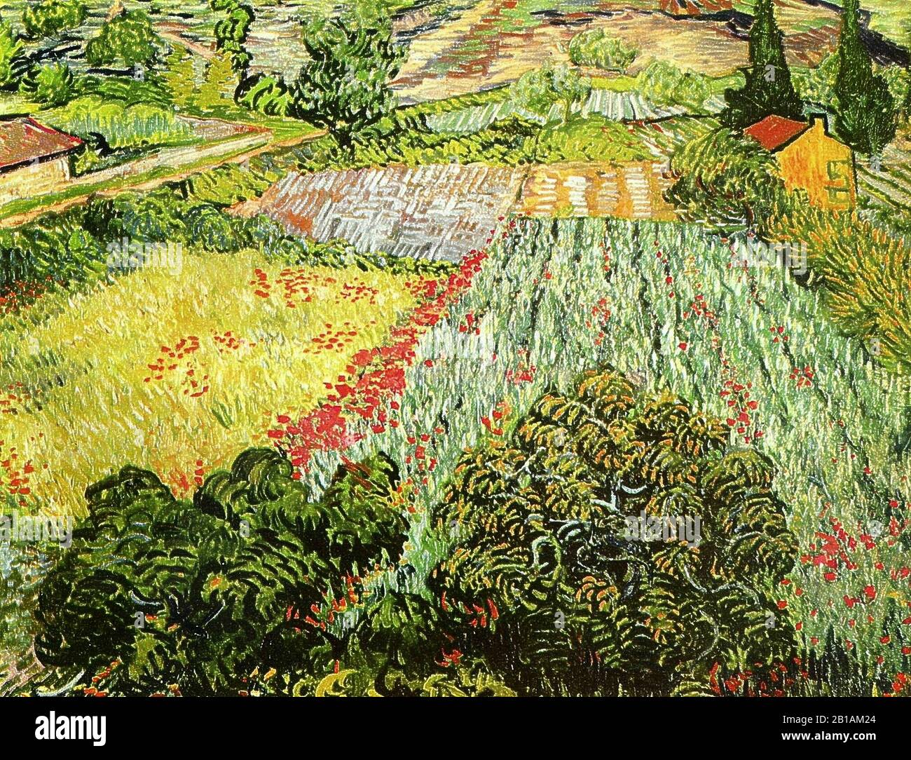 Feld mit Poppies, Gemälde von Vincent van Gogh von Vézard - Sehr hohe Auflösung und hochwertige Bilder Stockfoto