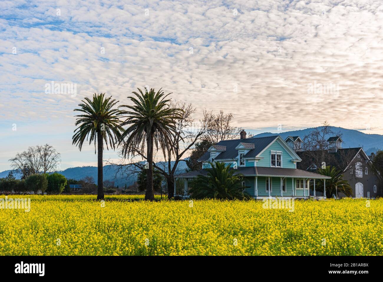 Napa Valley, Kalifornien - 28. Januar 2019: Ein Bauernhaus in der berühmten Region napa Valley in der Nähe von San Francisco. Stockfoto