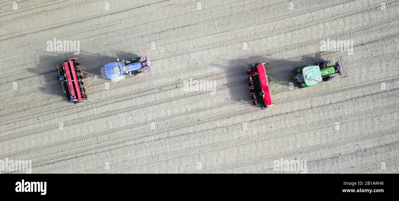 Chinesische Bauern pflügen und säen am 20. Februar 2020 ein Weizenfeld im Sihaobeo Village, Yanqi Hui Autonomous County, Bayingol Mongolian Autonomous Prefecture, Nordwestchina Xinjiang Uygur Autonomous Region. (Foto von QUEHURE / Costfoto / Sipa USA) Stockfoto