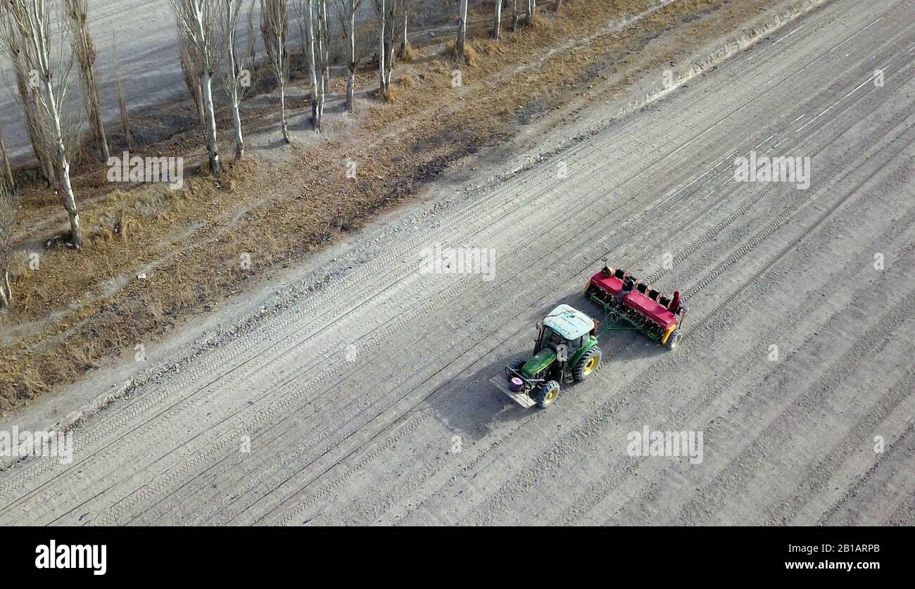 Chinesische Bauern pflügen und säen am 20. Februar 2020 ein Weizenfeld im Sihaobeo Village, Yanqi Hui Autonomous County, Bayingol Mongolian Autonomous Prefecture, Nordwestchina Xinjiang Uygur Autonomous Region. (Foto von QUEHURE / Costfoto / Sipa USA) Stockfoto