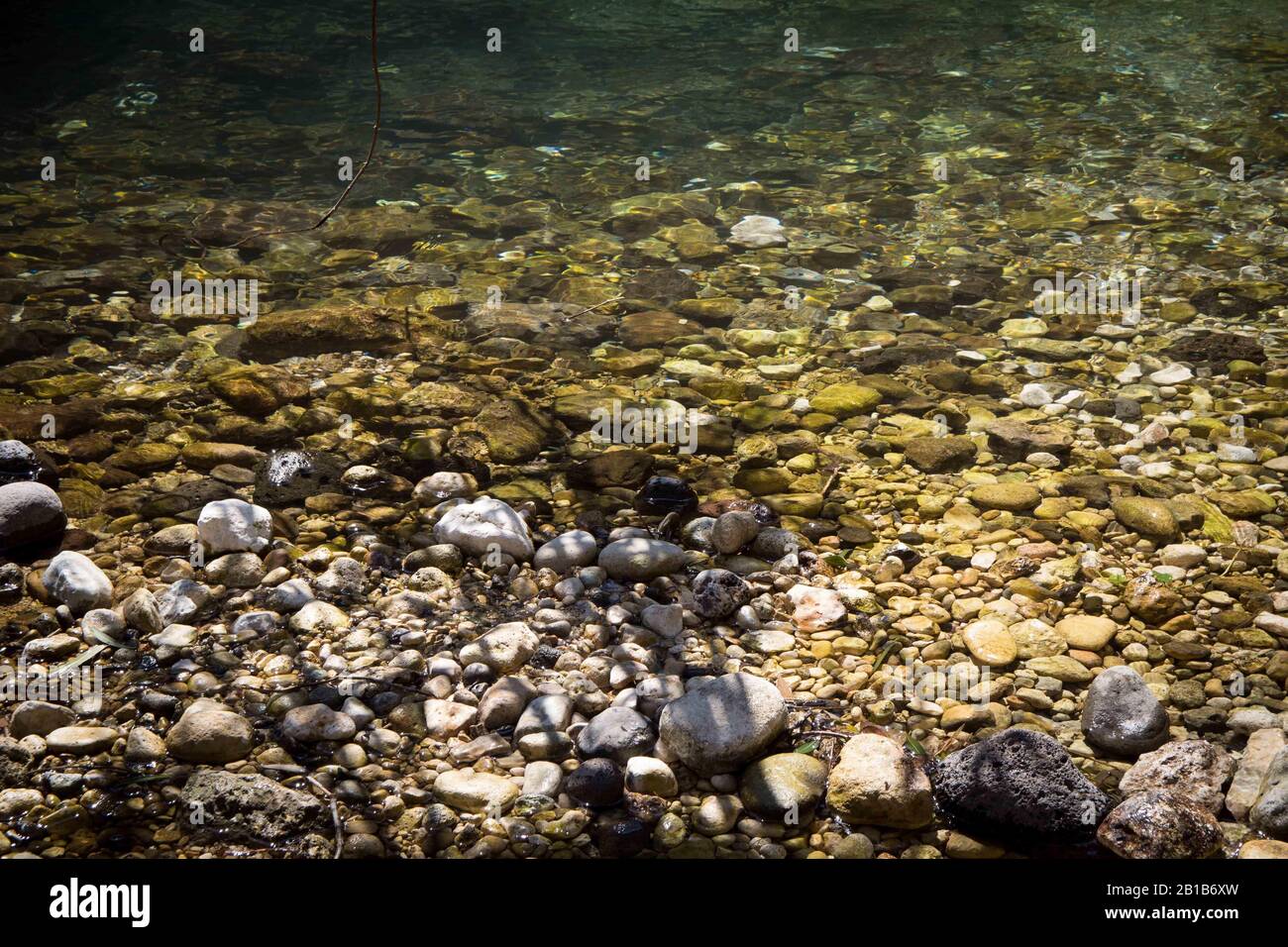 Naturteich mit einem Grund aus weißen Steinen und klarem Wasser Stockfoto