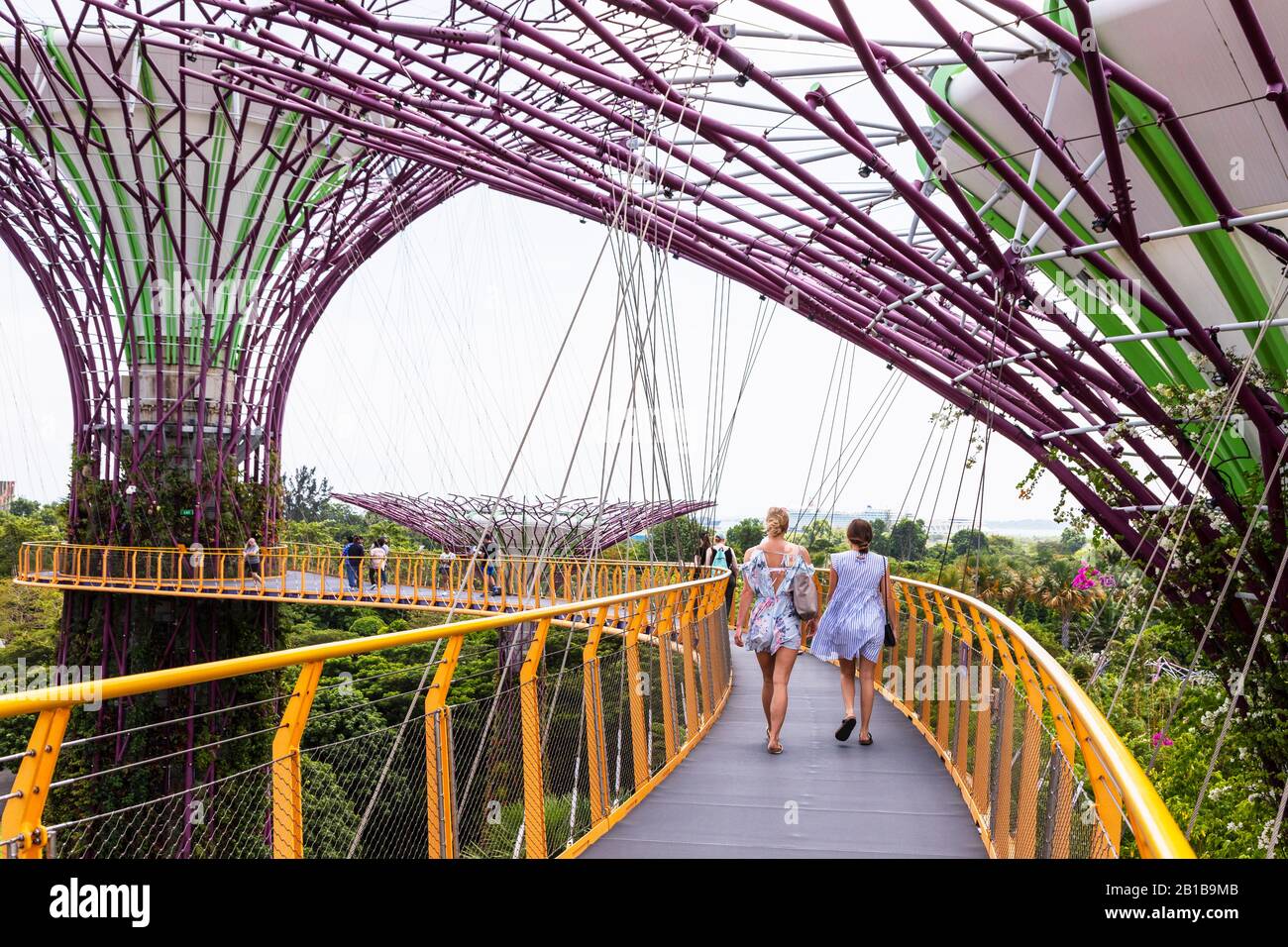 Touristen, die auf der Luftbrücke zwischen zwei der Supertree Strukturen in den Gärten an der Bucht, Singapur, Asien, laufen Stockfoto