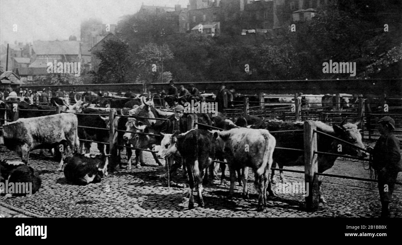 Frith, Francis - Shrewsbury, Rindermarkt Stockfoto