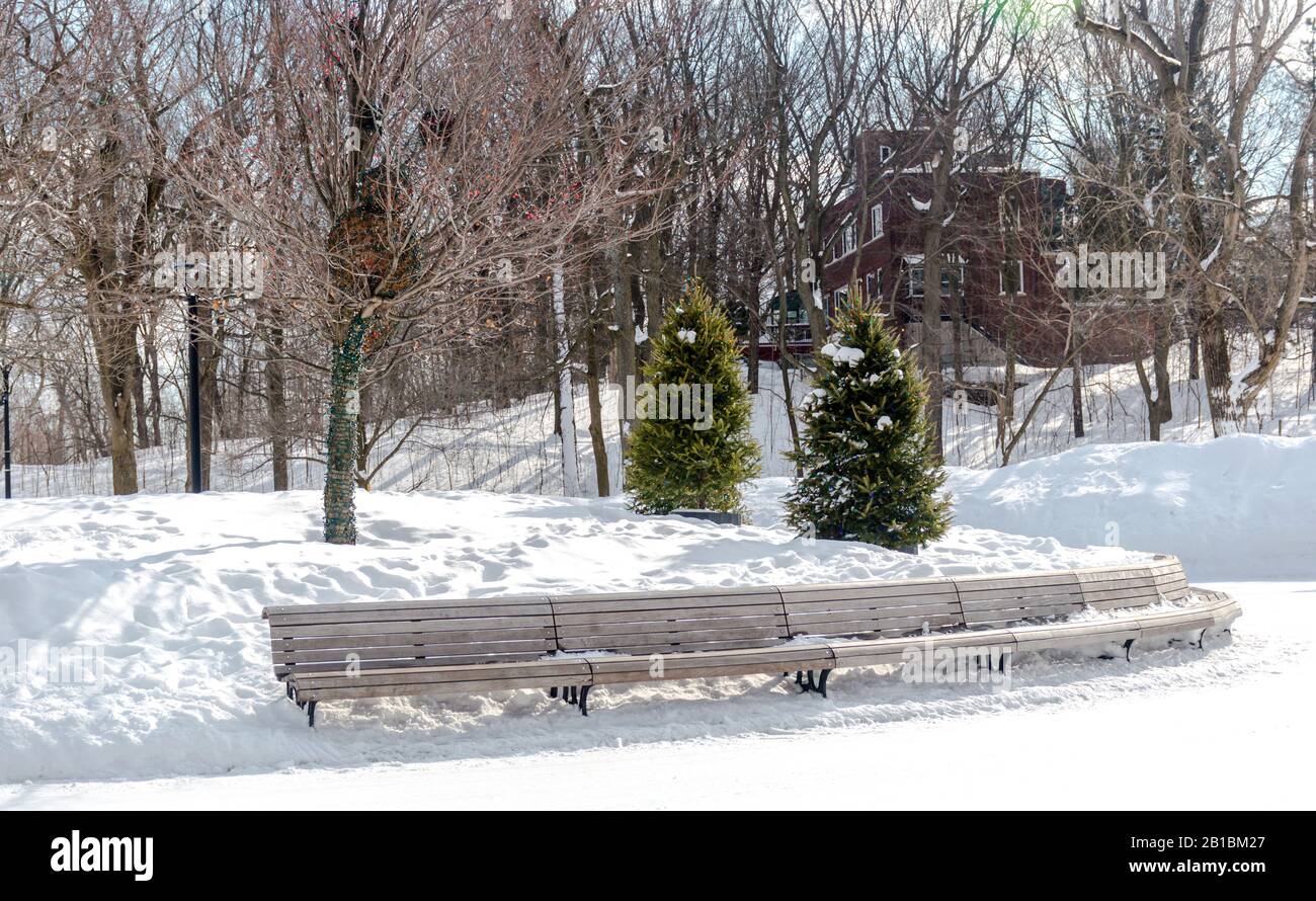 Schlittschuhbahn am Beaver Lake - Mount Royal Park, Montreal, Quebec, Kanada (Lac des Castors - Parc Mont Royal, Montral, Qubec, Kanada) Stockfoto