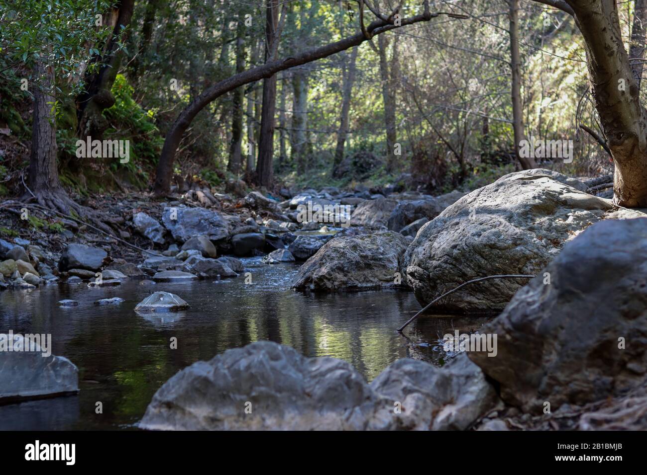 Am Flussufer hinunter! Stockfoto
