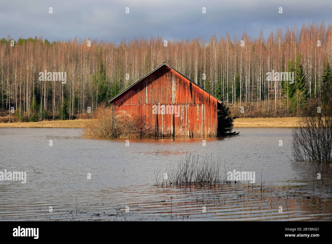 Überflutete Scheune auf dem Feld in der Nähe des Highway 110, Südfinnland. Der Fluss Hämjoki überschwemmt in Nummi-Pusula, Lohja, Finnland. Februar 2020. Stockfoto