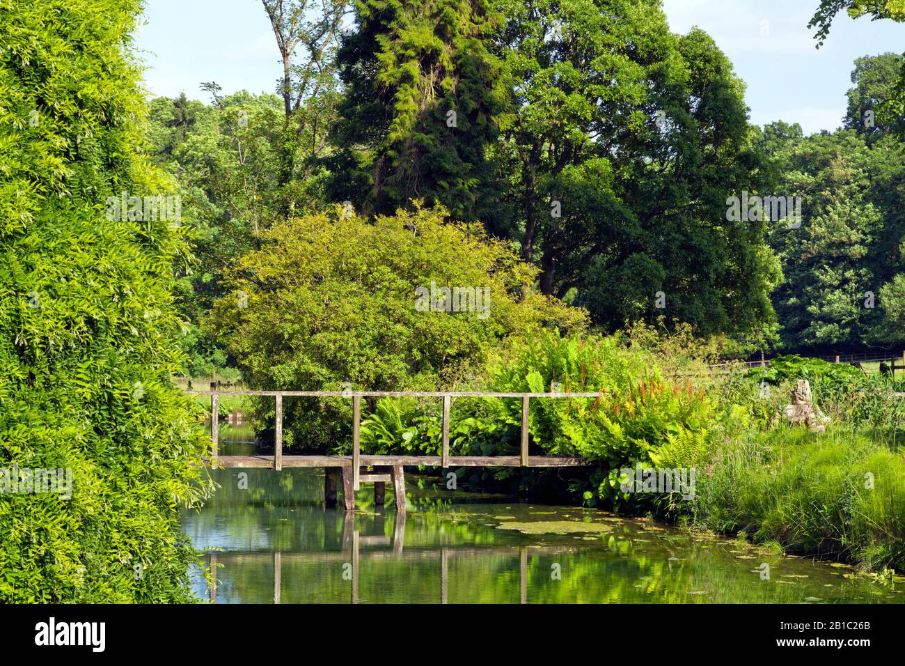 Alte Holzbrücke über den kleinen Fluss mit üppiger Vegetation, die an den Ufern wächst, in einer englischen Landschaft an einem sonnigen Sommertag. Stockfoto