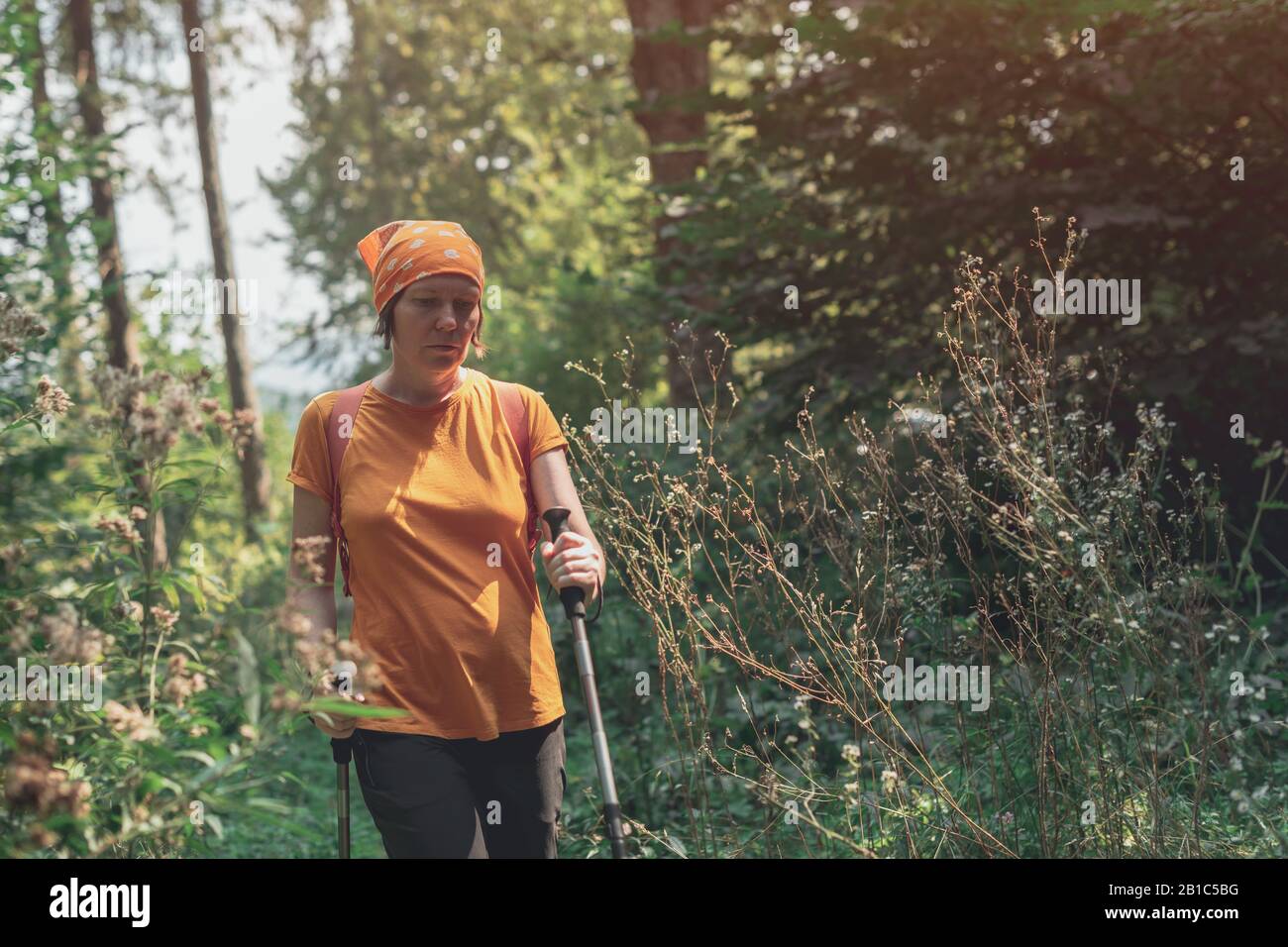 Frau Wanderer mit Trekking wandern Wald Wanderweg allein auf Sommer Tag, aktiven Urlaub Ferienhäuser Konzept Stockfoto
