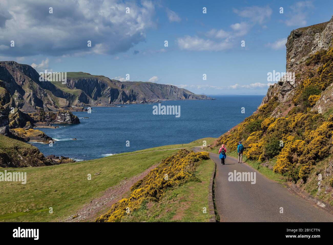 Wanderer, die auf der Straße in Richtung der dramatischen Küste an der Pettico Wick Bay, St Abb's Head, Berwickshire in den schottischen Grenzen, Schottland, spazieren gehen Stockfoto