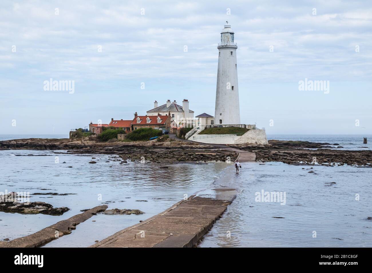 Mann, der durch das Wasser watet, während die Flut im St Mary's Lighthouse, Whitley Bay, North East England, einströmt. Die Fahrbahn steht bei Flut unter Wasser. Stockfoto