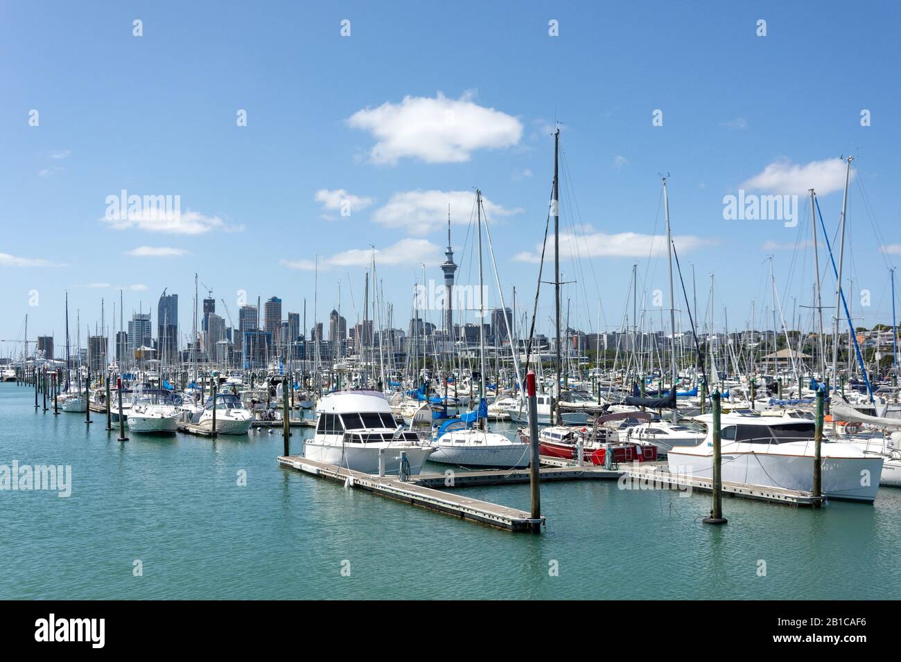 Blick auf das Stadtzentrum von Westhaven Marina, Westhaven, Auckland, Auckland Region, Neuseeland Stockfoto