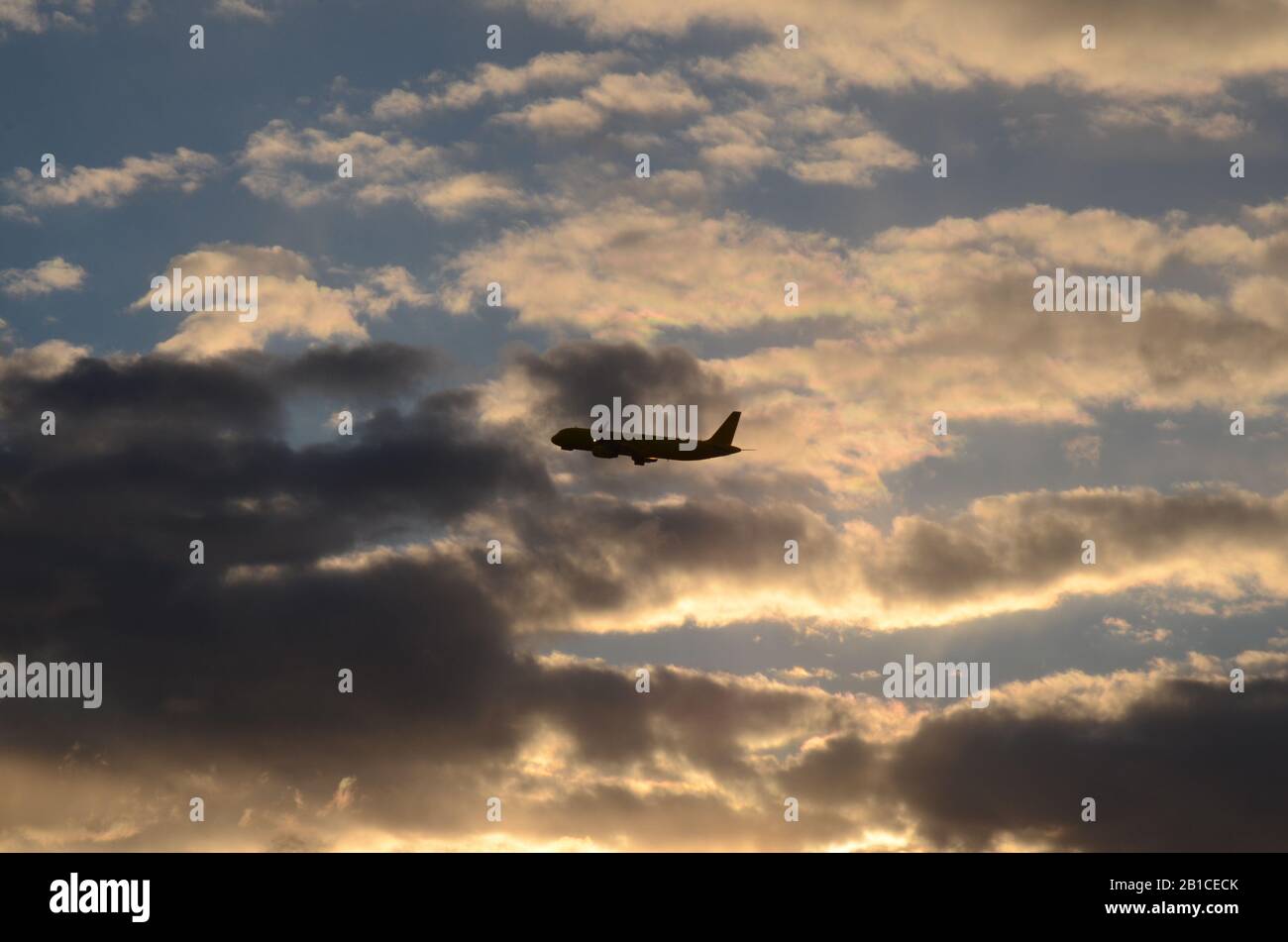 FLUG 419: Kommerzielle Flugzeuge fliegen vom Flughafen Newark in den Abendhimmel. Stockfoto