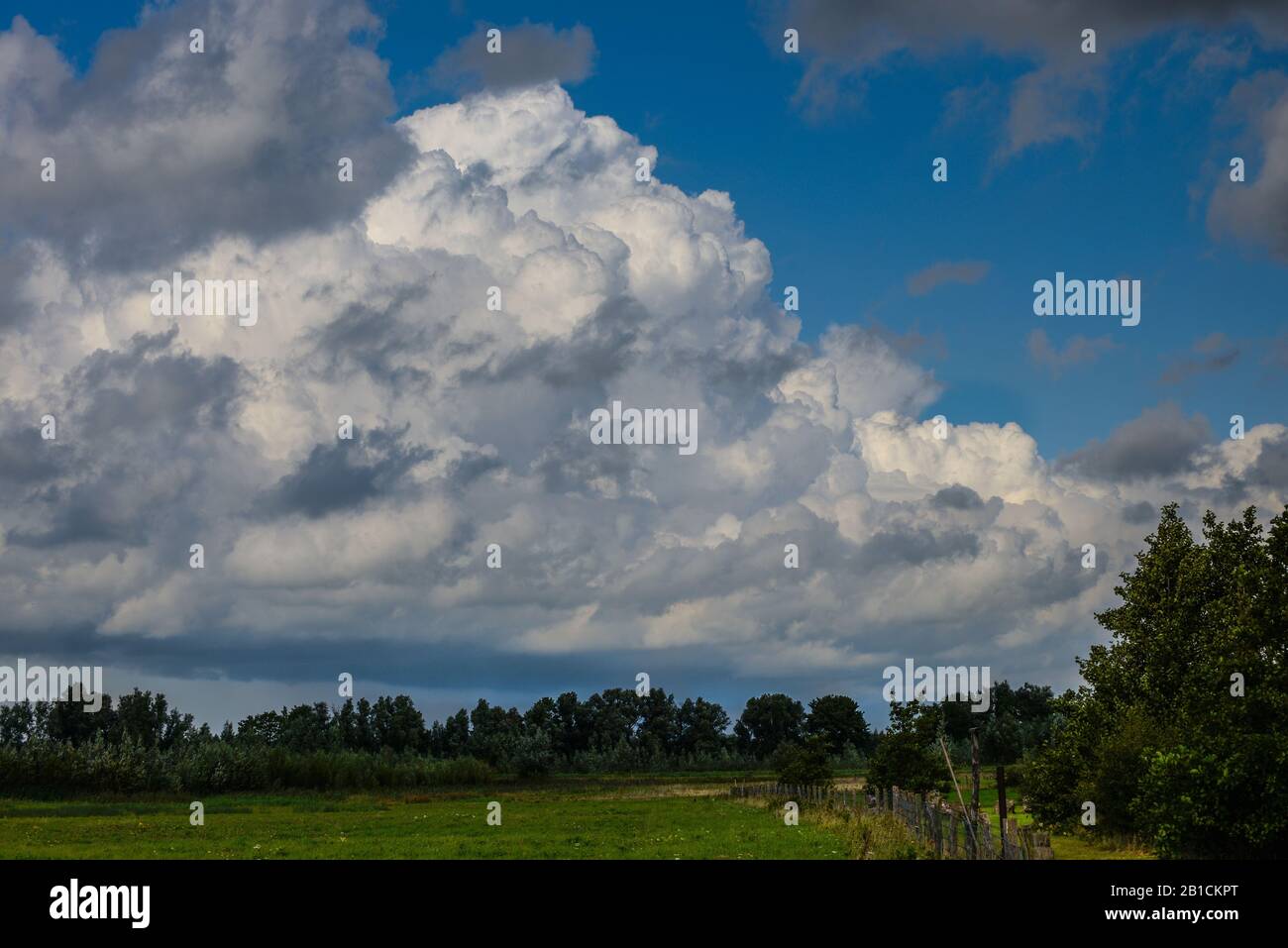 Cumulus Clouds, Niederlande, Noord-brabant, Polder Noordwaard, Werkendam Stockfoto