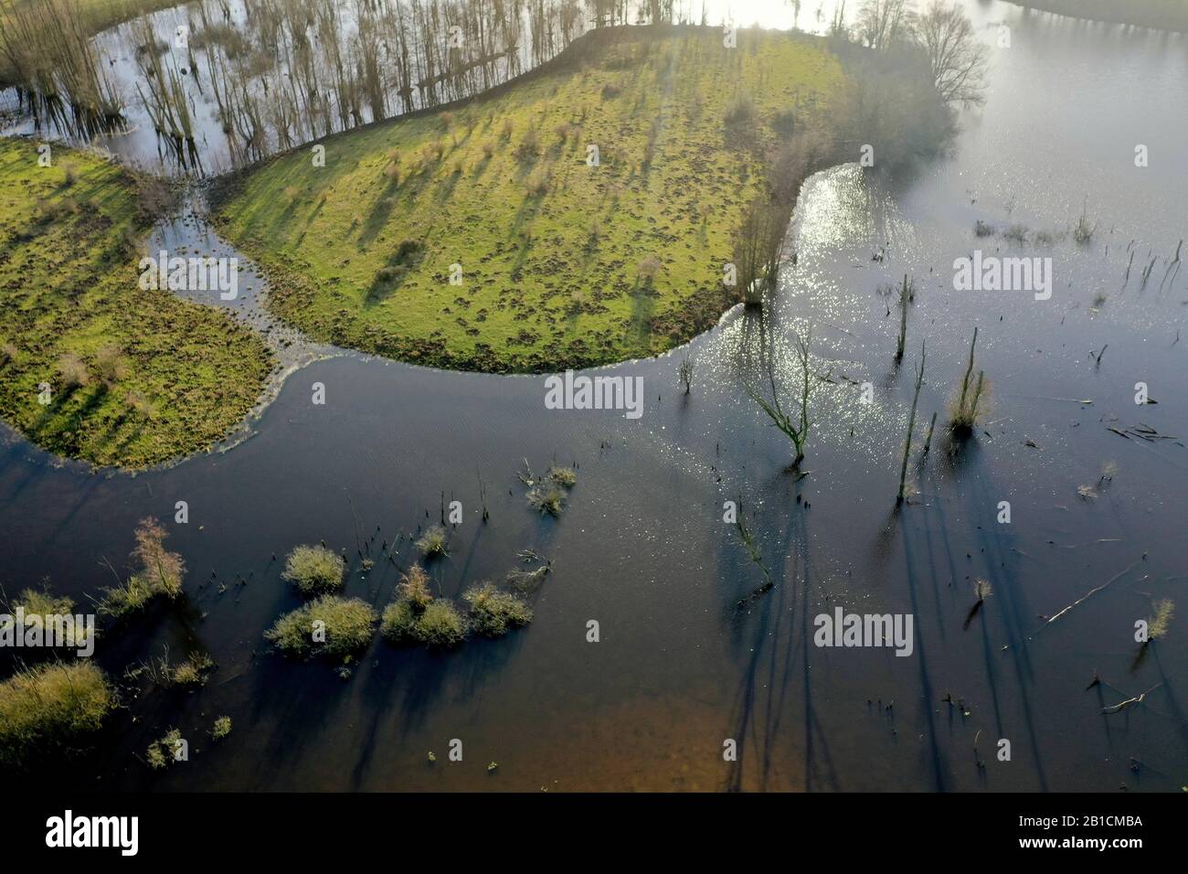 Moorgebiet Hellmoor, Luftbild, Deutschland, Schleswig-Holstein, Panten Stockfoto