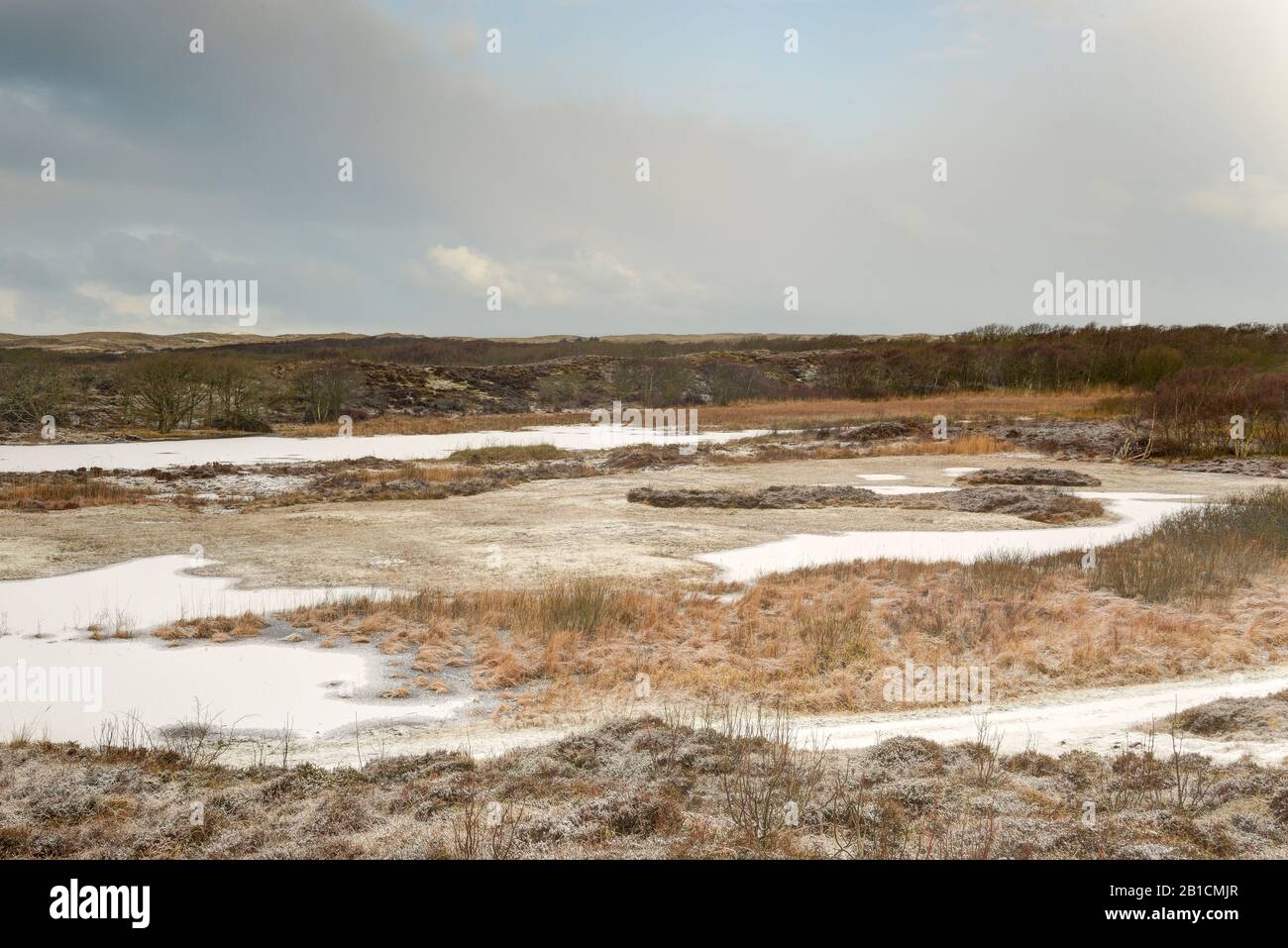 Dunelandscape Zwanewater im Winter, Niederlande, Zwanewater, Callantsoog Stockfoto