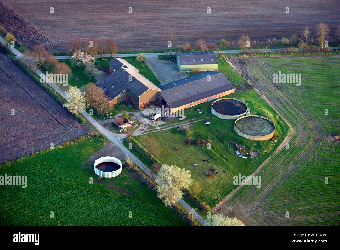 Luftbild eines Bauernhauses in der Feldlandschaft, Deutschland, Schleswig-Holstein, Eiderstedt Stockfoto