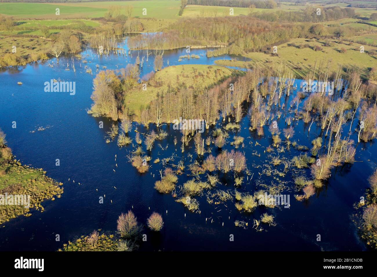 Moorgebiet Hellmoor, Luftbild, Deutschland, Schleswig-Holstein, Panten Stockfoto