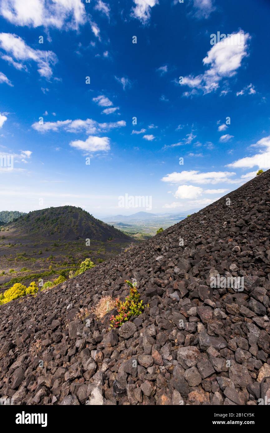 Zinnenvulkan, Vulkan Paricutin, Bundesstaat Michoacan, Mexiko, Mittelamerika Stockfoto