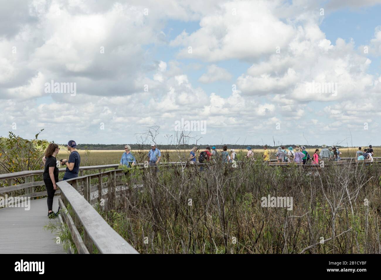 Touristen Sehenswürdigkeiten im Everglades National Park in der Nähe von Homestead, Florida, USA Stockfoto