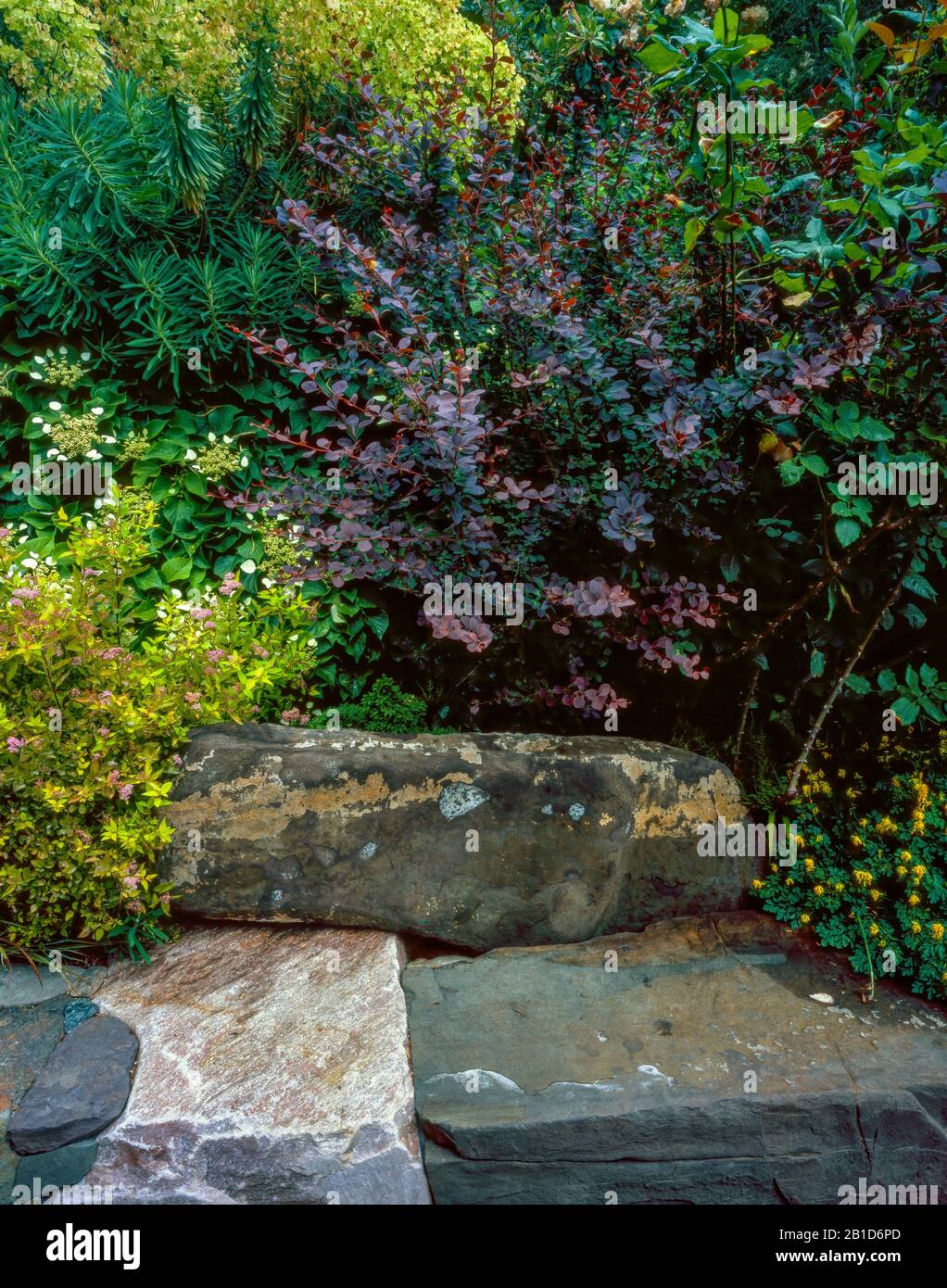 Stone Garden Bank, Fern Canyon Garden, Mill Valley, Kalifornien Stockfoto